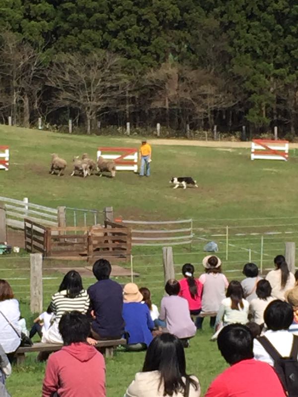 rblog-20150429202258-01.jpg