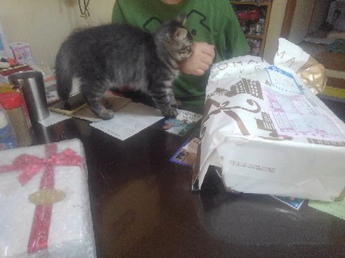 rblog-20180723102737-01.jpg