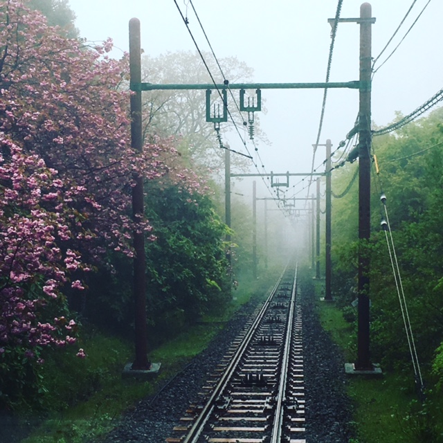 登山鉄道４.JPG