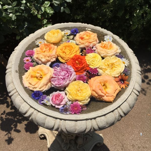 rblog-20170521202036-06.jpg
