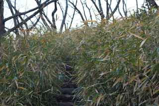 HNI_0003 2013-01-02 16-02.JPG