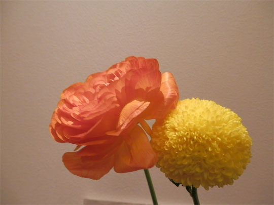 flower20120417.jpg