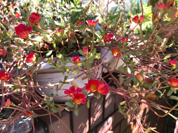 rblog-20171026190452-05.jpg