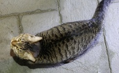 5DA_9898-8.jpg