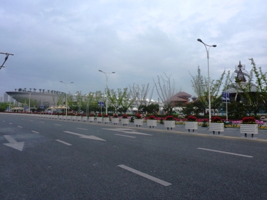 P1030798hana2.JPG