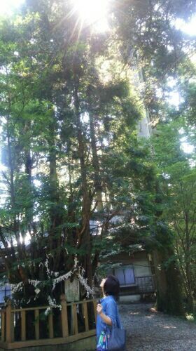 rblog-20180619154144-03.jpg