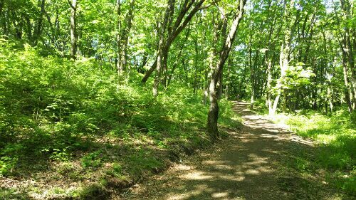 rblog-20180528163012-04.jpg