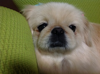 20130308.jpg