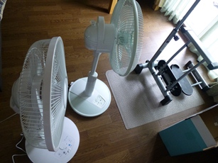P1040994.JPG