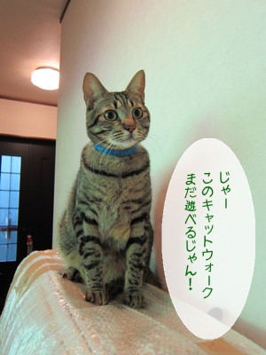20121213125054_w_300_h_400_7463510.jpg
