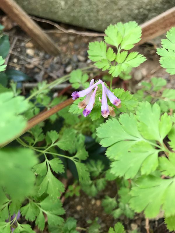 rblog-20180408161916-05.jpg
