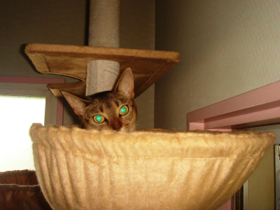 DSC08610.jpg