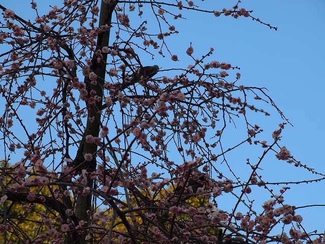 20160217-4
