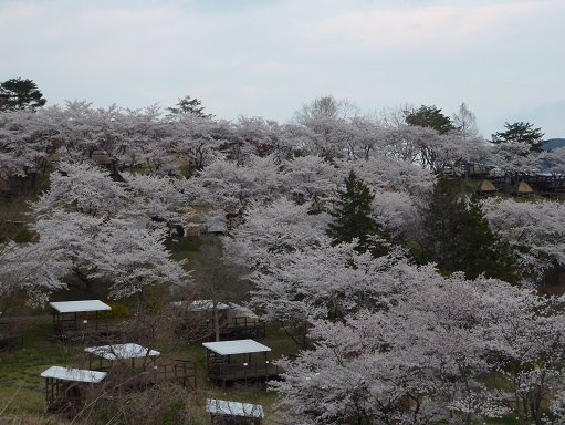 さがみこ３.jpg