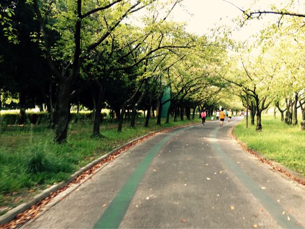 rblog-20150920114143-03.jpg