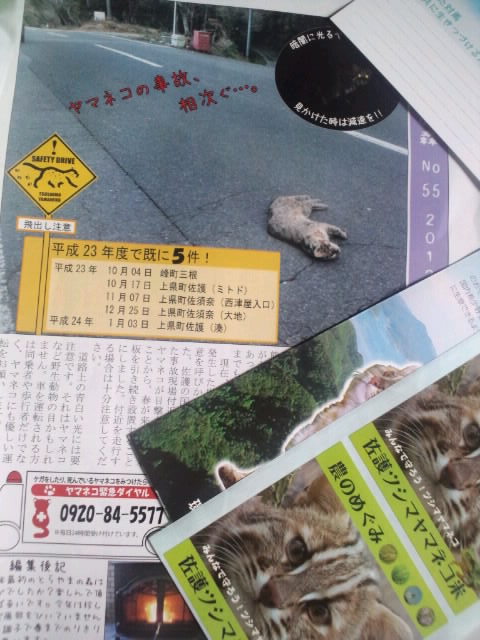 ML_CA3F00020008.jpg