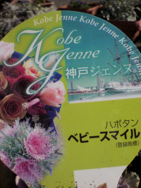 2012121913030002.jpg