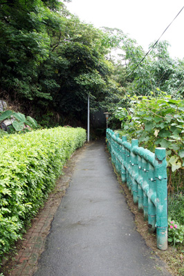 整備された遊歩道です