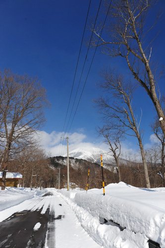 DSC_5187.jpg