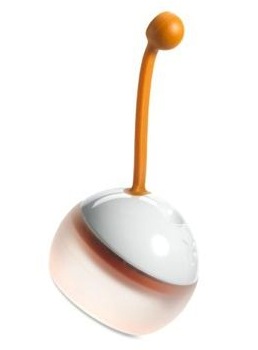 たねほおずき（ホワイト）