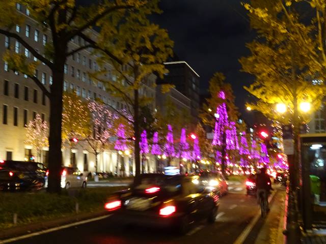 DSC08998_R.JPG