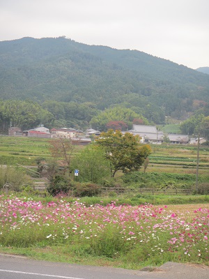 １－１１１明日香村.jpg