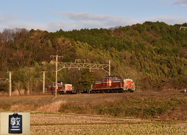 DD51-1191 試9971レ PP1183 D810 1.jpg