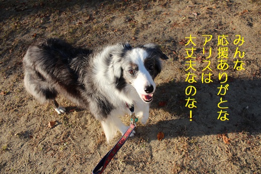 大丈夫