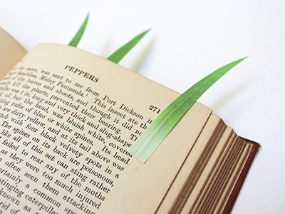 GreenMarker   Grass page Markers.jpg