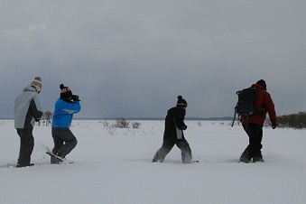 snowshue1
