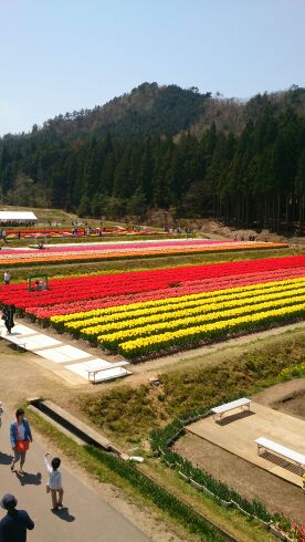 rblog-20140503081810-01.jpg