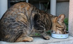IMG_0438-20.jpg