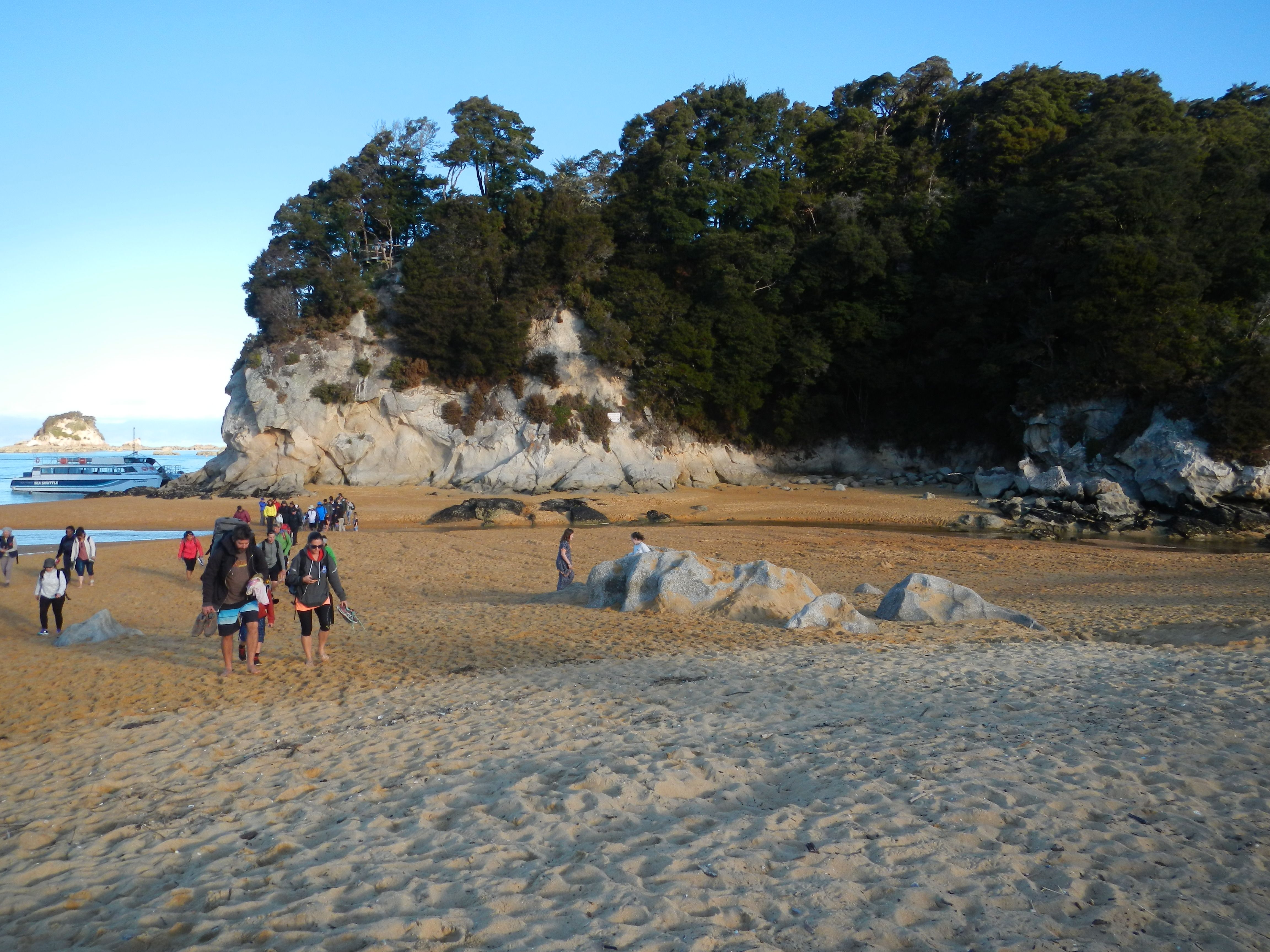 Torrent Bay とtakaka 双子 １の子育て In Nz 楽天ブログ