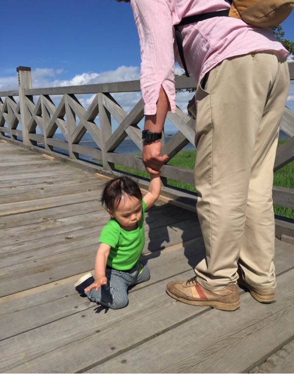 rblog-20150606212837-04.jpg
