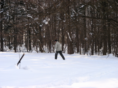 2016-02-04skier (1).JPG