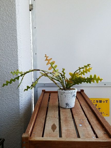 rblog-20180404111238-03.jpg