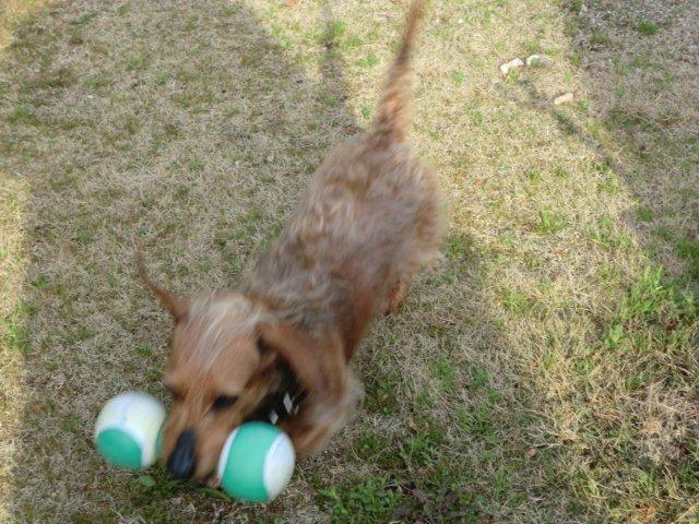 2012_0320_162302-CIMG0428.jpg