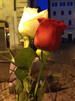 Roses.jpg