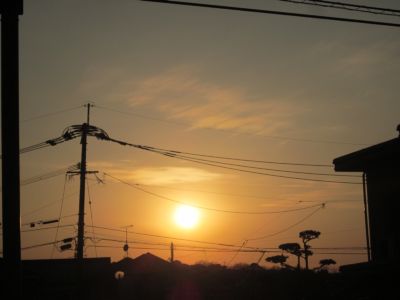 IMG_8692.JPG