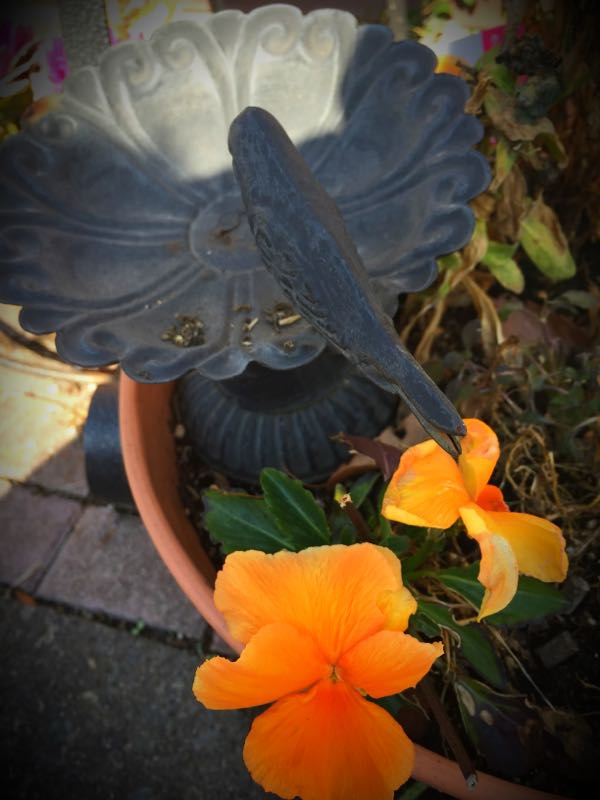 rblog-20150227215219-02.jpg