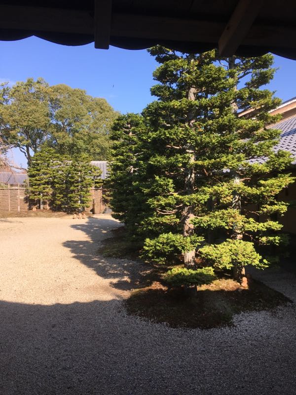 rblog-20181127204118-01.jpg