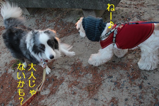 大人とちがう