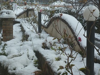 P1280838ss.jpg