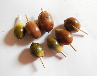 DSCN1318.jpg