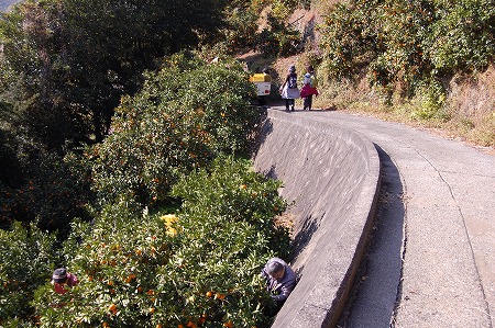 s-DSC_0946.jpg