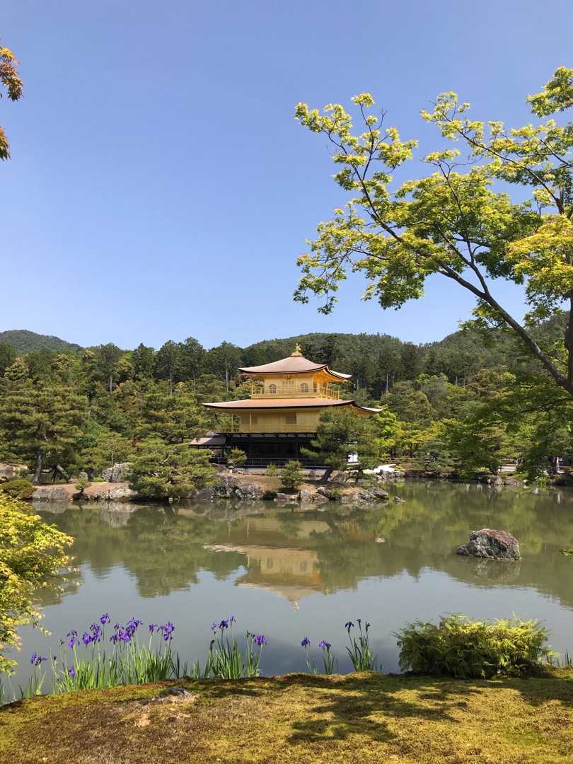 京都 バス釣り魂 楽天ブログ