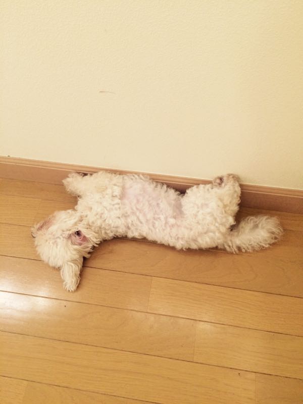 rblog-20150801165948-01.jpg