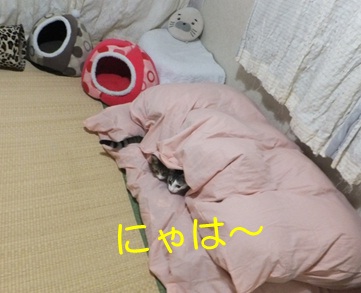 20121028_3.jpg