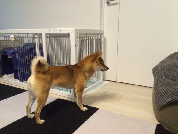 rblog-20151222002346-02.jpg