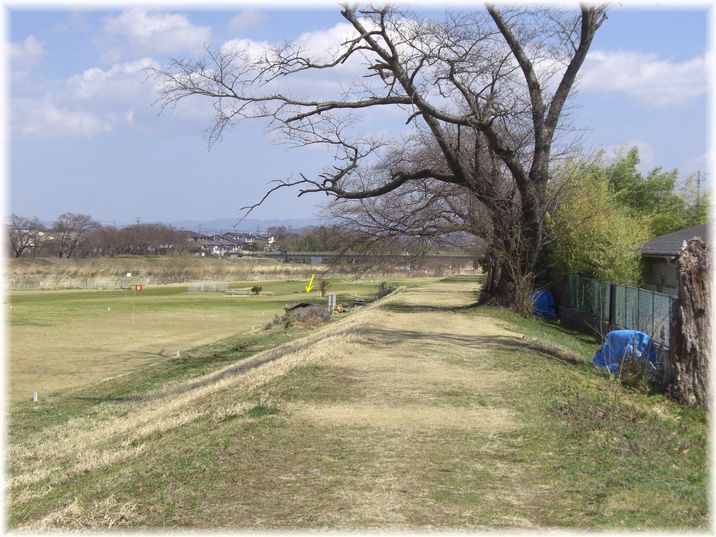 戻ってきたカラス